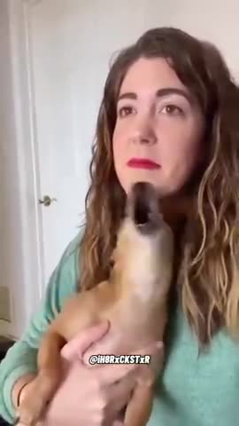 Silent Night, sort of