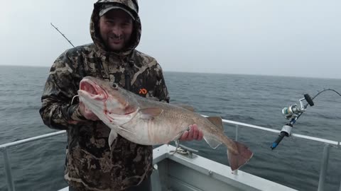 Pacific Ocean for Alaskan Halibut!