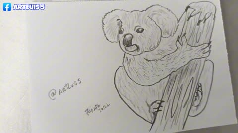 How to draw a koala