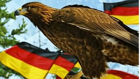 the eagle take off -der Adler startet