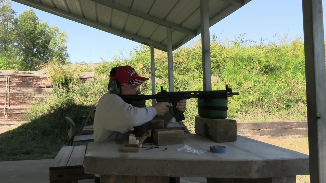 Sight in back up sights on budget AR 15s