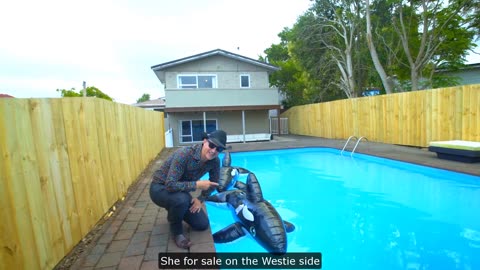 The Westie Side - Kiwi Livin Quarter Acre Paradise - Tim Webb - Agent Of Change