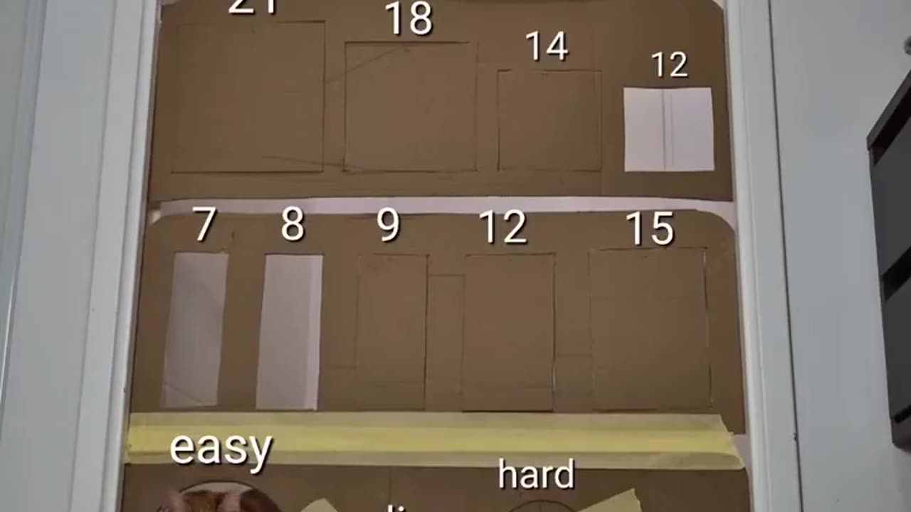 smart kitty 🤣💥