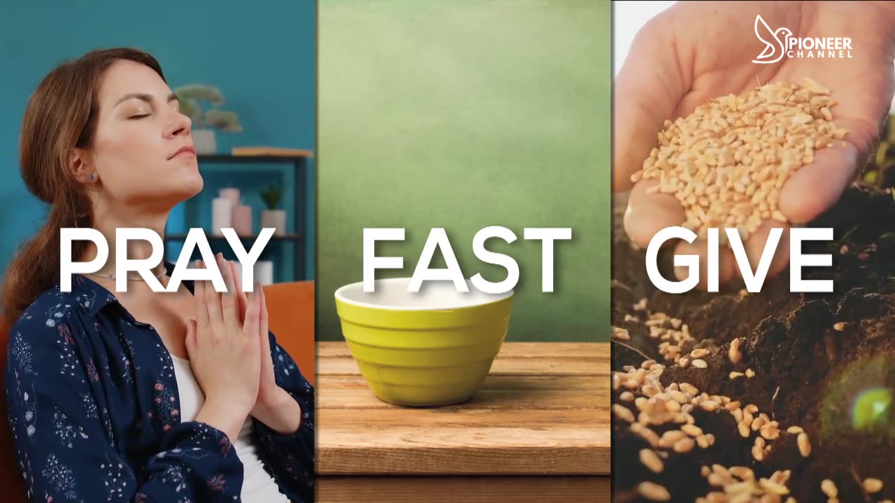 Pioneer Channel LIVE