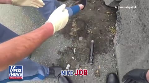 WATCH: Troopers rescue a kitten stranded on a major interstate