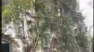 👽😱 Reptilian UFOs Among Us? | TheTruthAbove