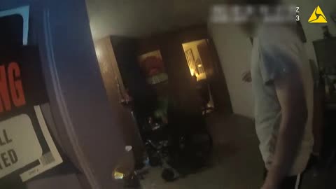 BODYCAM: To Protect & Serve (Food) Officer Finishes DoorDash Delivery After Driver Arrested