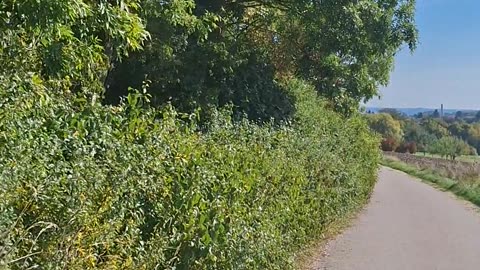 Compliance versus innate sense of justice