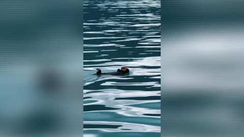 Sometimes All You Have to Do Is Chill