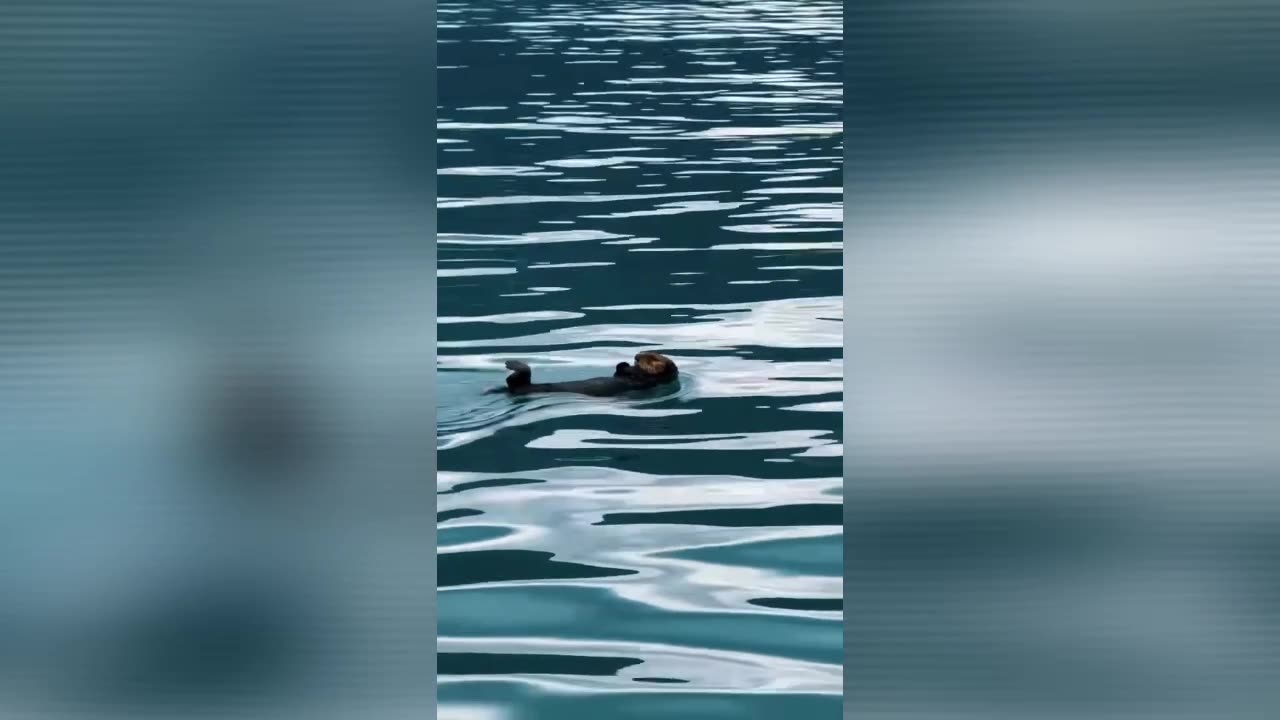 Sometimes All You Have to Do Is Chill