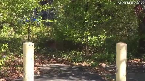 9-year-old diversity who raped and tried to kiII a 5-year-old in Cleveland sentenced to house arrest