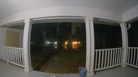 Cat Pees on Packages