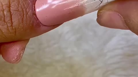 Manicure masters came up with a creepy design with live ants😬Real insects running under the transparent coating