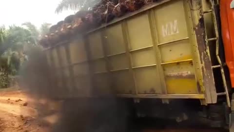 Black smoke enveloped the truck as it passed the extreme road