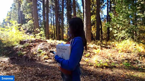 Remember Why You Came to This Earth