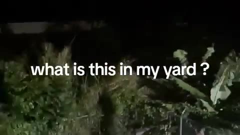 😱👻 The Scariest Thing That Happened During a Ouija Board Session | TheHauntingHour