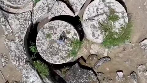 Giant columns of the old world may have been created with,