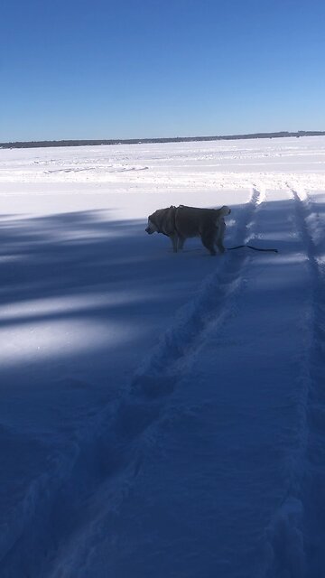 Saturday January 31, The Lord will conquer your enemies.