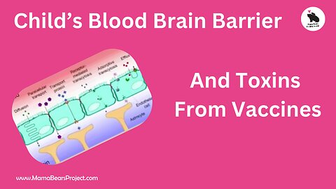 Blood Brain Barrier Not Fully Developed Until Age 7