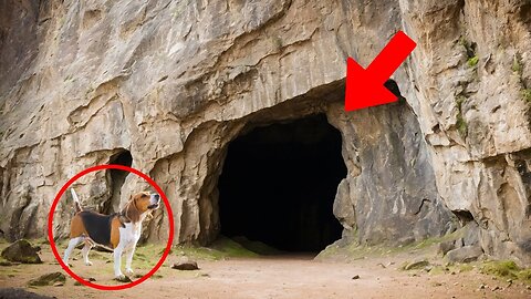 A DOG DOES NOT STOP barking in a cave UNTIL ITS OWNER MUSTERS THE COURAGE TO ENTER AND DISCOVERS…