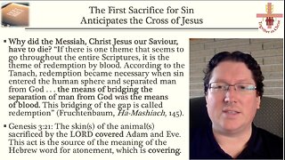 The First Sacrifice for Sin Anticipates the Cross of Jesus