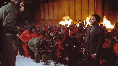 Sunday Night Feature