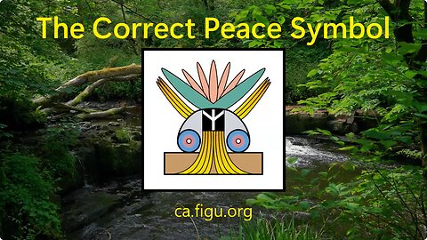 Billy Meier UFO Contact Info - Peace Initiative 1.1