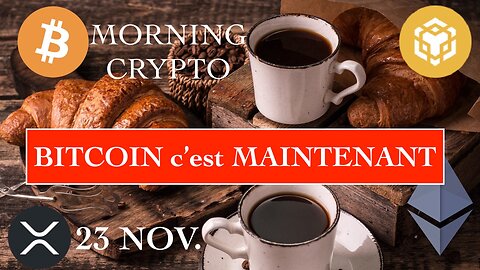 23 NOV. 2025 ☀️☕️🥐 Bullrun : Dernier espoir avant le bear market ? Du jamais vu en 20 ans 💡