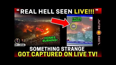 YOU WILL NOT BELIEVE WHAT IS RECORDED ON CAMERA. IT HAPPENS IN MANY STATES OF THE USA