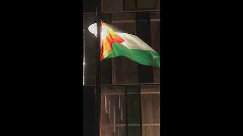 The only flag flying in Whitechapel London is the Palestinian flag