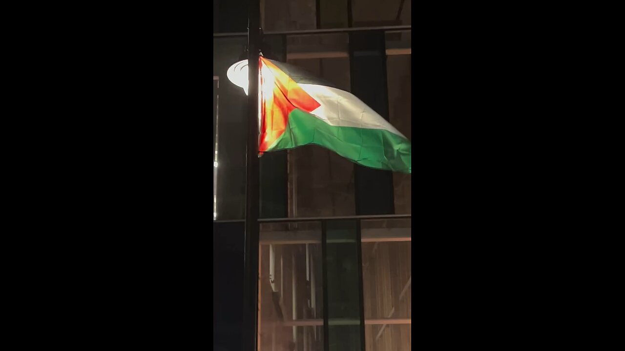 The only flag flying in Whitechapel London is the Palestinian flag