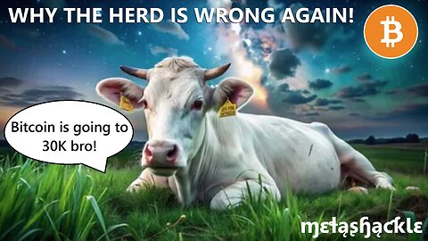 The Herd Is Wrong About #Bitcoin Again! ⚠️ This Is Why.. ✅