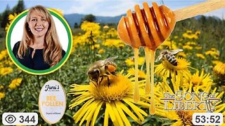 Dr. Jana Schmidt On Bees, Honey, Bee Pollen, Detoxing & Building Our Immune Systems