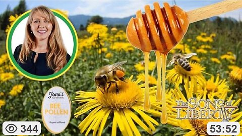 Dr. Jana Schmidt On Bees, Honey, Bee Pollen, Detoxing & Building Our Immune Systems