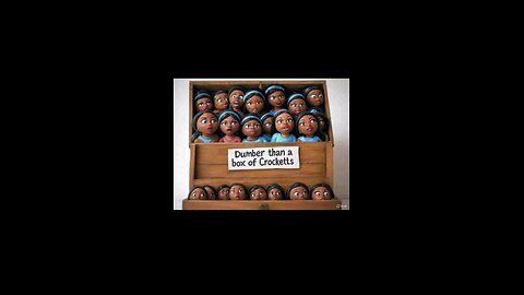 Jasmine dumb as a Crockett is running for senate, Supreme Court call in ☎️ 08/DEC/25