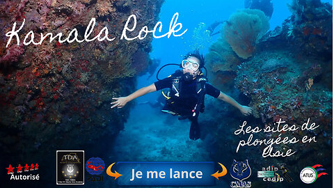 🐠 Kamala Rock : Le Secret Sous-Marin