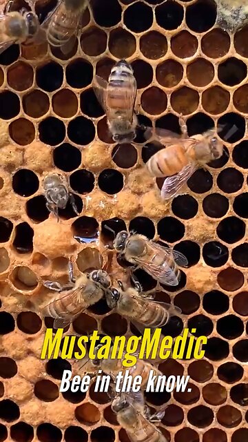 Look up close at the birth of one of God's creatures.