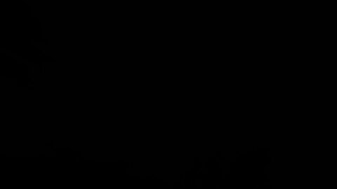 ROCKETLAB SUCCESSFULLY LAUNCHED, THE (PROMETHEUS RUN-HASTE) MISSION.