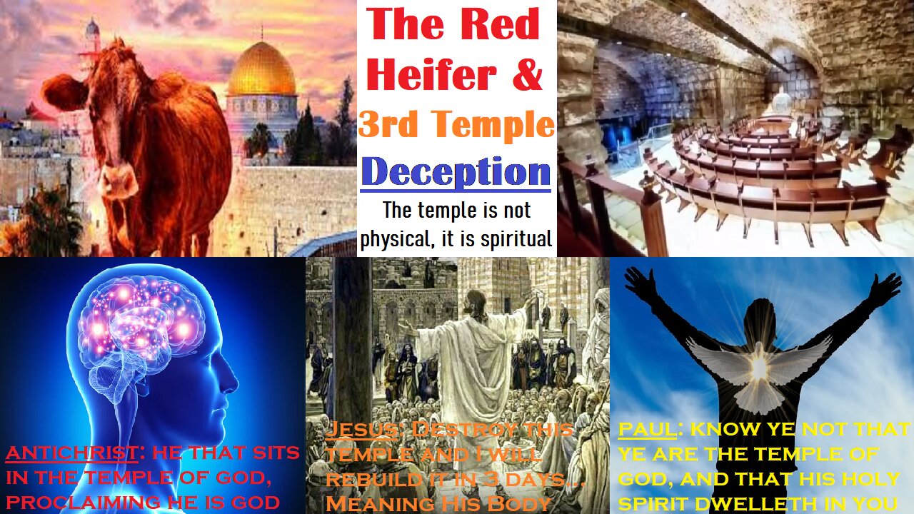 The Red Heifer and 3rd Temple Deception