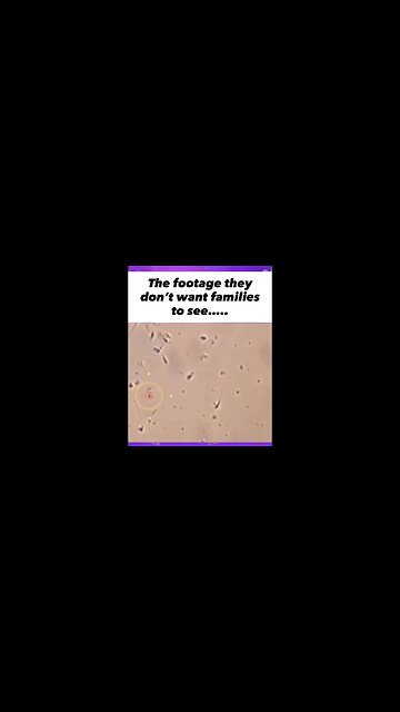 VXXXD VS. UNVXXXD SPERM