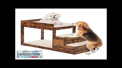 Pet Bunk Bed with Stairs Dog/Cat Window Perch Sleeper Couch Medium Size Review