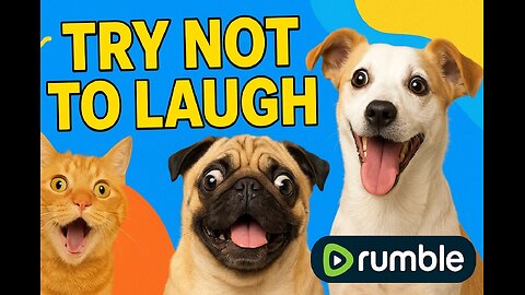 Funniest Animal Moments 2025 😂🐶 | Try Not to Laugh Challenge with Cute Pets