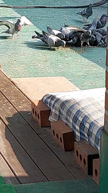 20251122. God made the world.