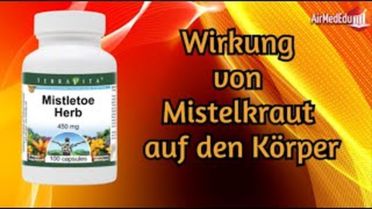 Wirkung von Mistelkraut auf den Körper