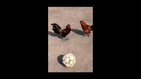 Ronaldo Vs Messi Football Funny Videos #short, #ronaldo, #funny, #comedy,