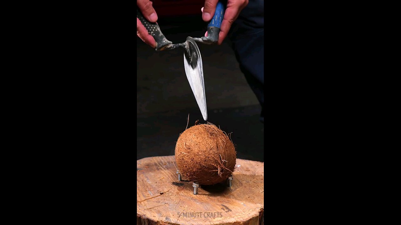 Things you can do with coconut