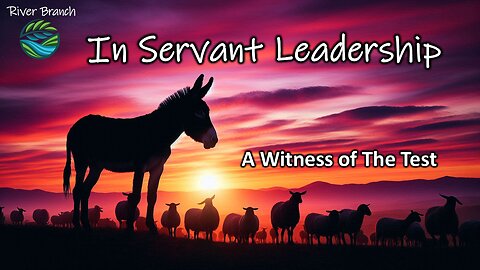 In Servant Leadership - A Witness of The Test - Part 3