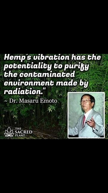 Dr. Pierre Kory Reveals Why Ivermectin Had to Be Destroyed...