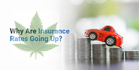 Why Are Auto Insurance Rates So High?