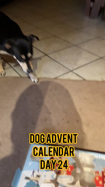 Himalayan Dog Chew 24 Joyful Days Dog Advent Calendar Day 24